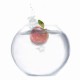 Digital Painting of Apple in Fishbowl of Water